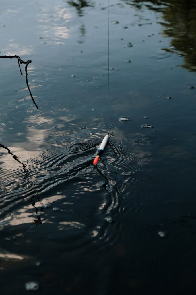 pexels photo 4830256 Close-up of a fishing float creating ripples on a calm lake reflecting the sky.